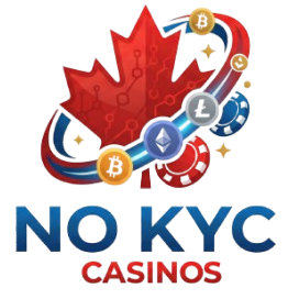 nokyccasinos.info Logo